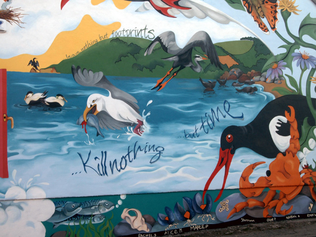 a section of the Our Legacy mural showing the heron and the gull and the quote '...Leave nothing but footprints, Kill nothing but time."