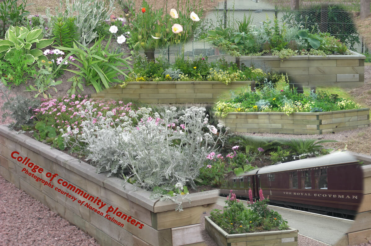 Collage of the station planters 2008