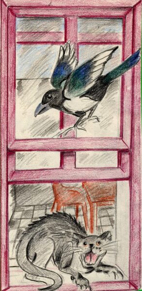 Hooded Crow and cat at station window - station platform mural
